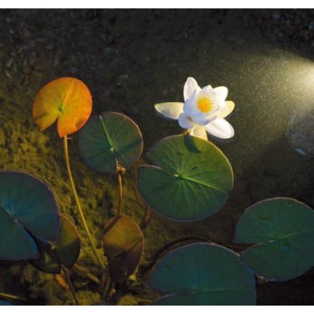 Светильник для пруда и сада Aqualight 100 power led